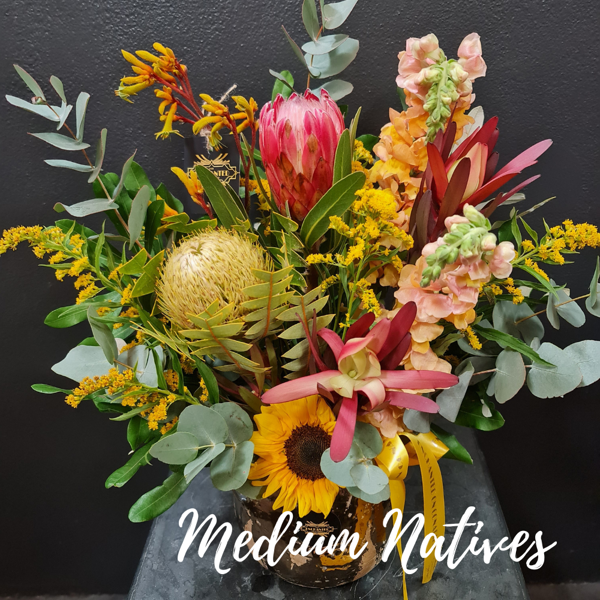 Picture of Medium Natives Arrangmenet in Ceramic Pot