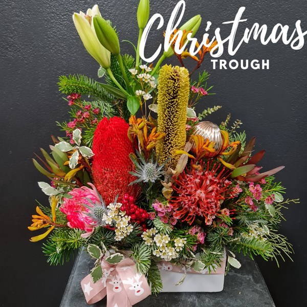 Christmas Trough Arrangement | Natives