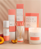 Summer Peach Reed Diffuser | Palm Beach