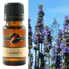 Lavender Fragrance Oil  | BUCKLEY & PHILLIPS