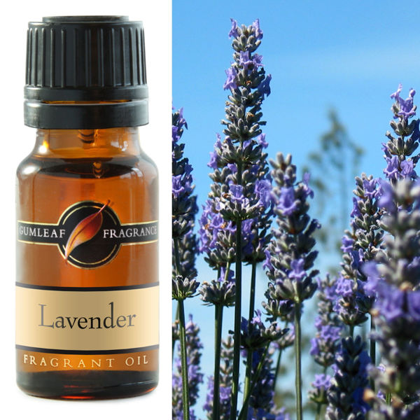 Lavender Fragrance Oil  | BUCKLEY & PHILLIPS