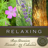 Relaxing Room Spray  | BUCKLEY & PHILLIPS