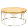 Martinique Coffee Table | Natural/Distressed White