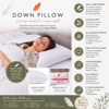 Goose Down Surround Pillow  Bianca